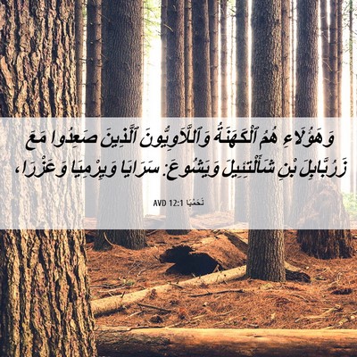 Picture 06 - نَحَمْيَا 12:1 AVD - وَهَؤُلَاءِ هُمُ - Bible Verse Picture