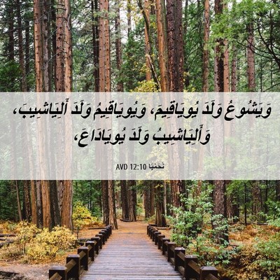 Picture 06 - نَحَمْيَا 12:10 AVD - وَيَشُوعُ وَلَدَ - Bible Verse Picture