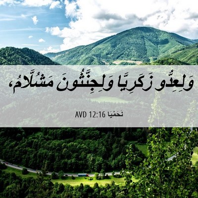 Picture 06 - نَحَمْيَا 12:16 AVD - وَلِعِدُّو زَكَرِيَّا - Bible Verse Picture