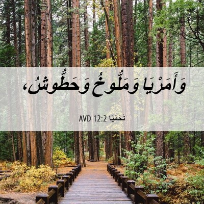 Picture 06 - نَحَمْيَا 12:2 AVD - وَأَمَرْيَا وَمَلُّوخُ - Bible Verse Picture