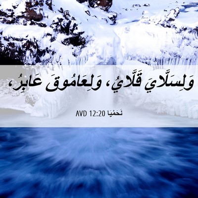 Picture 06 - نَحَمْيَا 12:20 AVD - وَلِسَلَّايَ قَلَّايُ، - Bible Verse Picture