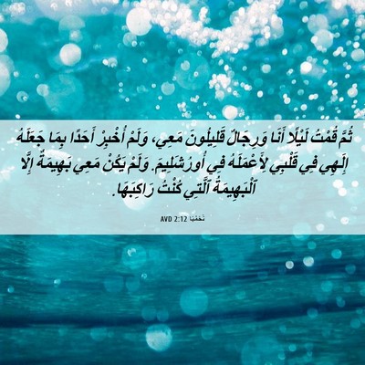 Picture 06 - نَحَمْيَا 2:12 AVD - ثُمَّ قُمْتُ لَيْلًا أَنَا - Bible Verse Picture