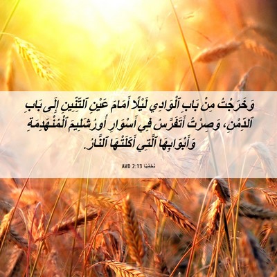 Picture 06 - نَحَمْيَا 2:13 AVD - وَخَرَجْتُ مِنْ بَابِ - Bible Verse Picture