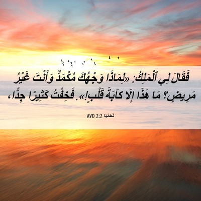 Picture 06 - نَحَمْيَا 2:2 AVD - فَقَالَ لِي ٱلْمَلِكُ: - Bible Verse Picture