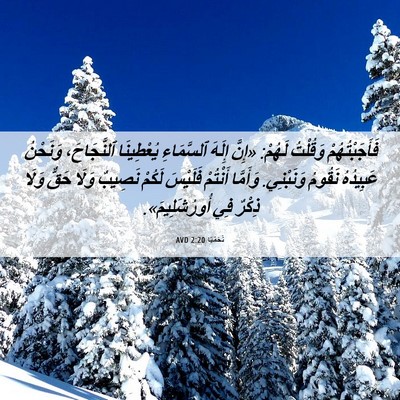 Picture 06 - نَحَمْيَا 2:20 AVD - فَأَجَبْتُهُمْ وَقُلْتُ - Bible Verse Picture