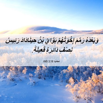Picture 06 - نَحَمْيَا 3:18 AVD - وَبَعْدَهُ رَمَّمَ - Bible Verse Picture