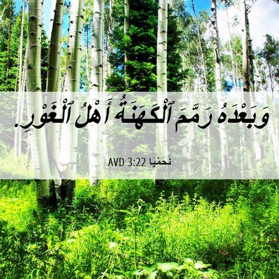 Picture 06 - نَحَمْيَا 3:22 AVD - وَبَعْدَهُ رَمَّمَ - Bible Verse Picture