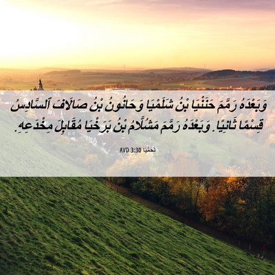 Picture 06 - نَحَمْيَا 3:30 AVD - وَبَعْدَهُ رَمَّمَ - Bible Verse Picture