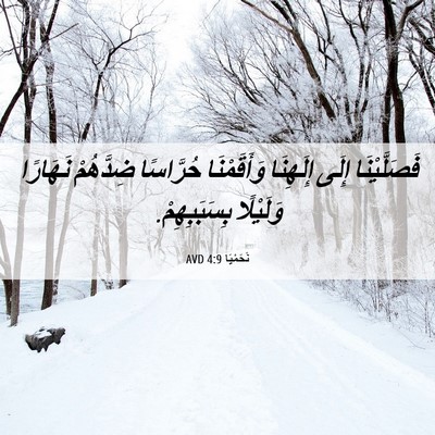 Picture 06 - نَحَمْيَا 4:9 AVD - فَصَلَّيْنَا إِلَى - Bible Verse Picture