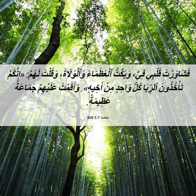 Picture 06 - نَحَمْيَا 5:7 AVD - فَشَاوَرْتُ قَلْبِي - Bible Verse Picture