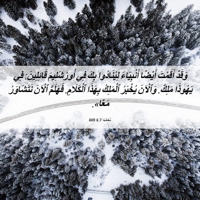 Picture 06 - نَحَمْيَا 6:7 AVD - وَقَدْ أَقَمْتَ أَيْضًا - Bible Verse Picture