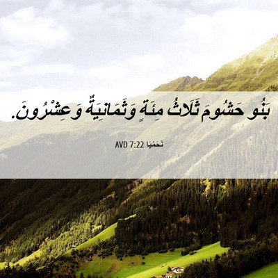 Picture 06 - نَحَمْيَا 7:22 AVD - بَنُو حَشُومَ ثَلَاثُ - Bible Verse Picture
