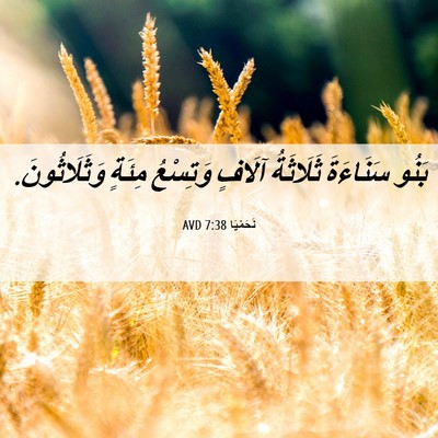Picture 06 - نَحَمْيَا 7:38 AVD - بَنُو سَنَاءَةَ ثَلَاثَةُ - Bible Verse Picture
