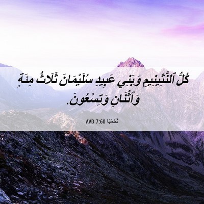 Picture 06 - نَحَمْيَا 7:60 AVD - كُلُّ ٱلنَّثِينِيمِ - Bible Verse Picture