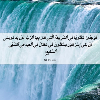Picture 06 - نَحَمْيَا 8:14 AVD - فَوَجَدُوا مَكْتُوبًا فِي - Bible Verse Picture