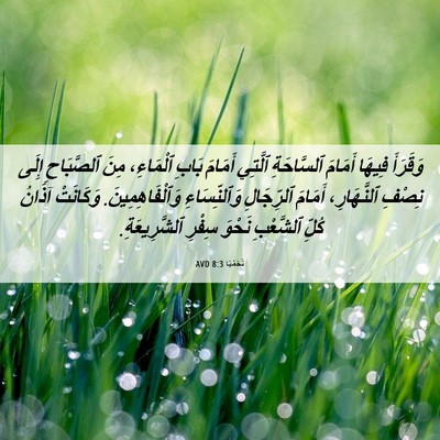 Picture 06 - نَحَمْيَا 8:3 AVD - وَقَرَأَ فِيهَا أَمَامَ - Bible Verse Picture