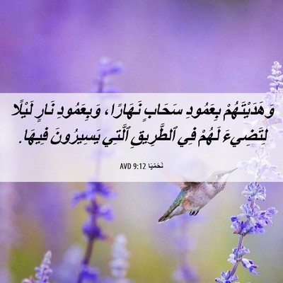 Picture 06 - نَحَمْيَا 9:12 AVD - وَهَدَيْتَهُمْ بِعَمُودِ - Bible Verse Picture