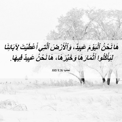 Picture 06 - نَحَمْيَا 9:36 AVD - هَا نَحْنُ ٱلْيَوْمَ - Bible Verse Picture