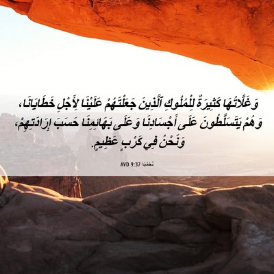 Picture 06 - نَحَمْيَا 9:37 AVD - وَغَلَّاتُهَا كَثِيرَةٌ - Bible Verse Picture