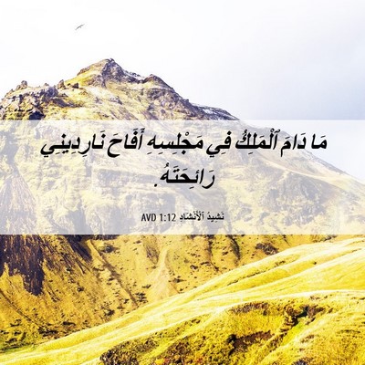 Picture 06 - نَشِيدُ ٱلْأَنْشَادِ 1:12 AVD - مَا دَامَ ٱلْمَلِكُ فِي - Bible Verse Picture