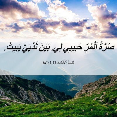 Picture 06 - نَشِيدُ ٱلْأَنْشَادِ 1:13 AVD - صُرَّةُ ٱلْمُرِّ حَبِيبِي - Bible Verse Picture