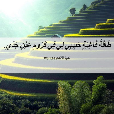 Picture 06 - نَشِيدُ ٱلْأَنْشَادِ 1:14 AVD - طَاقَةُ فَاغِيَةٍ - Bible Verse Picture