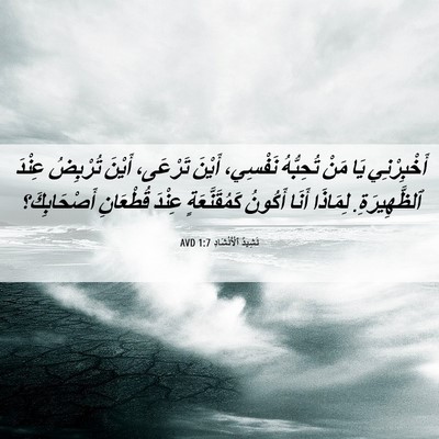 Picture 06 - نَشِيدُ ٱلْأَنْشَادِ 1:7 AVD - أَخْبِرْنِي يَا مَنْ - Bible Verse Picture