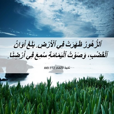 Picture 06 - نَشِيدُ ٱلْأَنْشَادِ 2:12 AVD - ٱلزُّهُورُ ظَهَرَتْ فِي - Bible Verse Picture