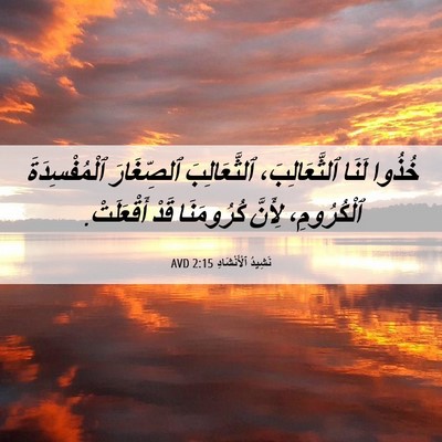 Picture 06 - نَشِيدُ ٱلْأَنْشَادِ 2:15 AVD - خُذُوا لَنَا - Bible Verse Picture