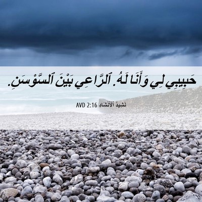 Picture 06 - نَشِيدُ ٱلْأَنْشَادِ 2:16 AVD - حَبِيبِي لِي وَأَنَا لَهُ. - Bible Verse Picture