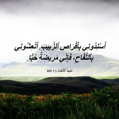 Picture 06 - نَشِيدُ ٱلْأَنْشَادِ 2:5 AVD - أَسْنِدُونِي بِأَقْرَاصِ - Bible Verse Picture