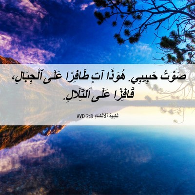 Picture 06 - نَشِيدُ ٱلْأَنْشَادِ 2:8 AVD - صَوْتُ حَبِيبِي. هُوَذَا - Bible Verse Picture