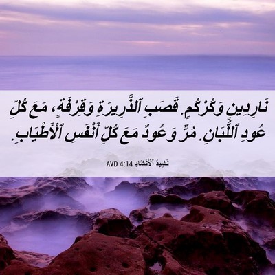 Picture 06 - نَشِيدُ ٱلْأَنْشَادِ 4:14 AVD - نَارِدِينٍ وَكُرْكُمٍ. - Bible Verse Picture