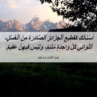 Picture 06 - نَشِيدُ ٱلْأَنْشَادِ 4:2 AVD - أَسْنَانُكِ كَقَطِيعِ - Bible Verse Picture