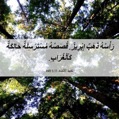 Picture 06 - نَشِيدُ ٱلْأَنْشَادِ 5:11 AVD - رَأْسُهُ ذَهَبٌ إِبْرِيزٌ. - Bible Verse Picture