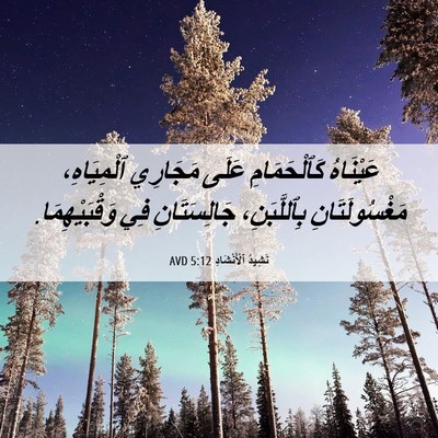 Picture 06 - نَشِيدُ ٱلْأَنْشَادِ 5:12 AVD - عَيْنَاهُ كَٱلْحَمَامِ - Bible Verse Picture