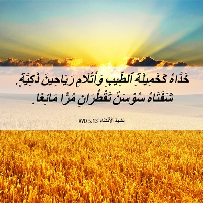 Picture 06 - نَشِيدُ ٱلْأَنْشَادِ 5:13 AVD - خَدَّاهُ كَخَمِيلَةِ - Bible Verse Picture