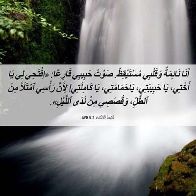 Picture 06 - نَشِيدُ ٱلْأَنْشَادِ 5:2 AVD - أَنَا نَائِمَةٌ وَقَلْبِي - Bible Verse Picture