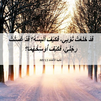 Picture 06 - نَشِيدُ ٱلْأَنْشَادِ 5:3 AVD - قَدْ خَلَعْتُ ثَوْبِي، - Bible Verse Picture
