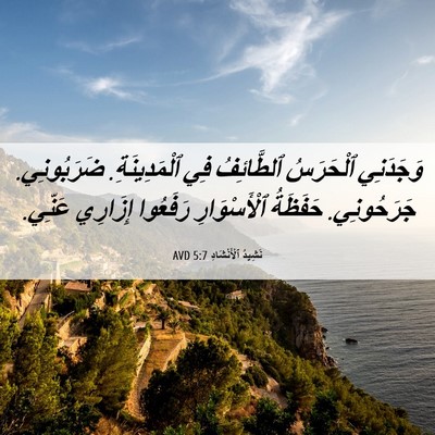 Picture 06 - نَشِيدُ ٱلْأَنْشَادِ 5:7 AVD - وَجَدَنِي ٱلْحَرَسُ - Bible Verse Picture