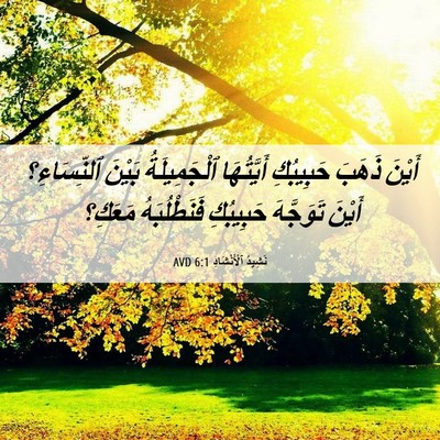 Picture 06 - نَشِيدُ ٱلْأَنْشَادِ 6:1 AVD - أَيْنَ ذَهَبَ حَبِيبُكِ - Bible Verse Picture