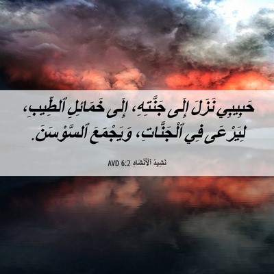 Picture 06 - نَشِيدُ ٱلْأَنْشَادِ 6:2 AVD - حَبِيبِي نَزَلَ إِلَى - Bible Verse Picture