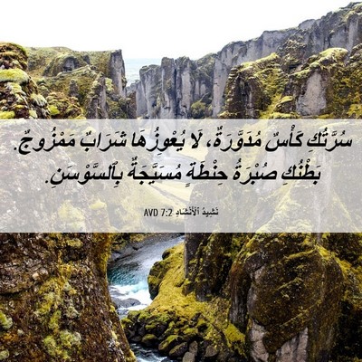 Picture 06 - نَشِيدُ ٱلْأَنْشَادِ 7:2 AVD - سُرَّتُكِ كَأْسٌ - Bible Verse Picture