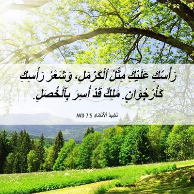 Picture 06 - نَشِيدُ ٱلْأَنْشَادِ 7:5 AVD - رَأْسُكِ عَلَيْكِ مِثْلُ - Bible Verse Picture