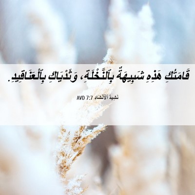 Picture 06 - نَشِيدُ ٱلْأَنْشَادِ 7:7 AVD - قَامَتُكِ هَذِهِ - Bible Verse Picture