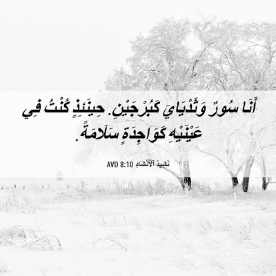 Picture 06 - نَشِيدُ ٱلْأَنْشَادِ 8:10 AVD - أَنَا سُورٌ وَثَدْيَايَ - Bible Verse Picture