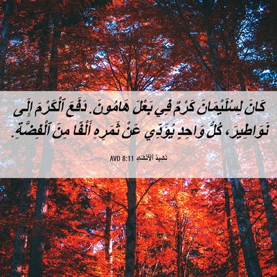 Picture 06 - نَشِيدُ ٱلْأَنْشَادِ 8:11 AVD - كَانَ لِسُلَيْمَانَ - Bible Verse Picture