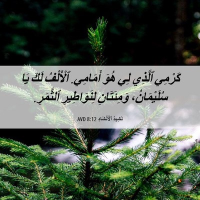 Picture 06 - نَشِيدُ ٱلْأَنْشَادِ 8:12 AVD - كَرْمِي ٱلَّذِي لِي هُوَ - Bible Verse Picture