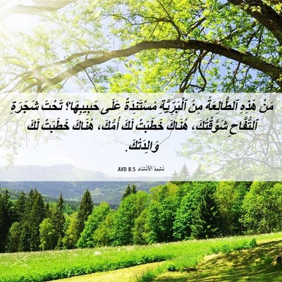 Picture 06 - نَشِيدُ ٱلْأَنْشَادِ 8:5 AVD - مَنْ هَذِهِ ٱلطَّالِعَةُ - Bible Verse Picture
