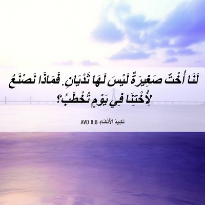 Picture 06 - نَشِيدُ ٱلْأَنْشَادِ 8:8 AVD - لَنَا أُخْتٌ صَغِيرَةٌ - Bible Verse Picture